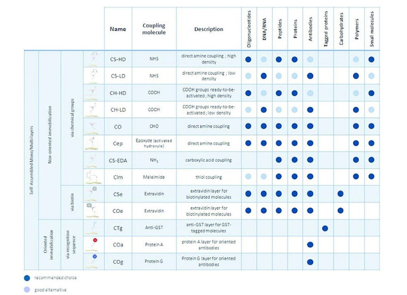 Surface Chemistries HORIBA